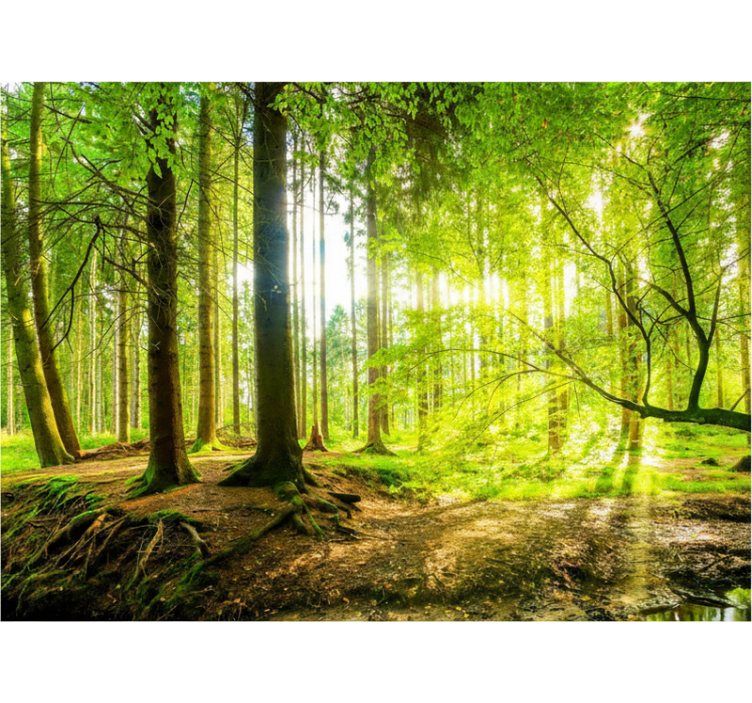 Lush mountain valley tree roller blind - TenStickers