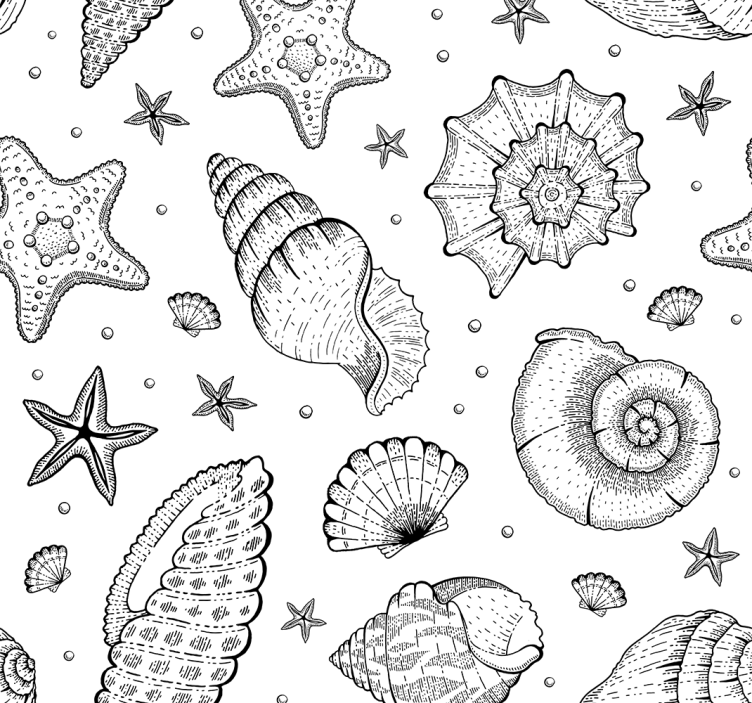 Office roller blind marine life and seashells black white - TenStickers