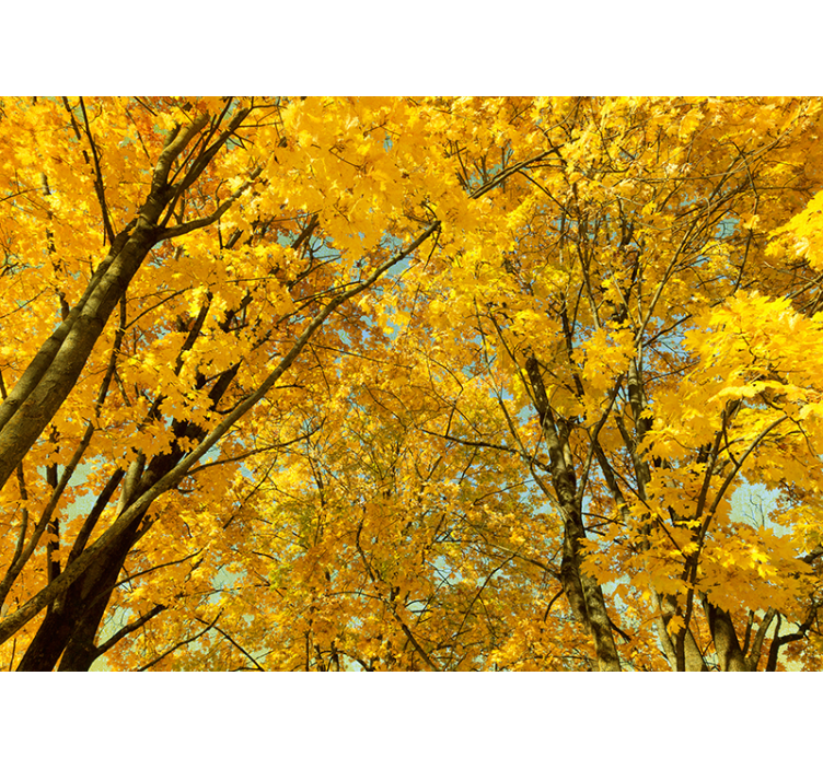 Yellow roller blind yellow autumn leaves design - TenStickers