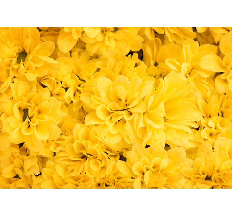 Yellow roller blind with flower petals design - TenStickers