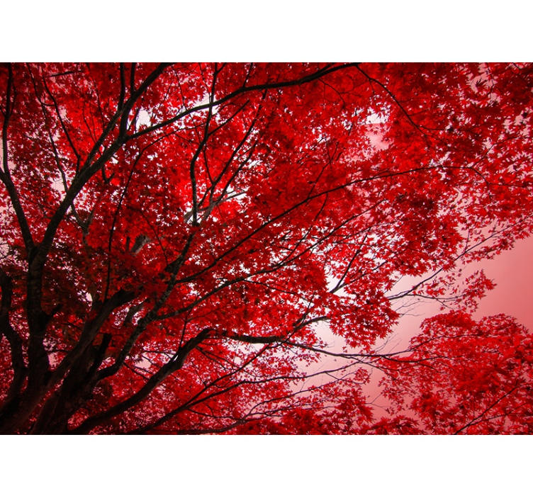 Red roller blind with red branches design - TenStickers