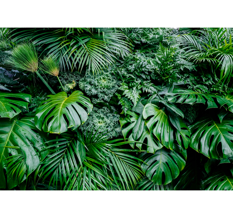 Green roller blind rainy jungle pattern - TenStickers