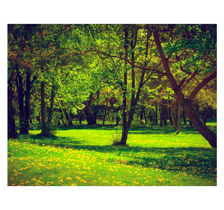 Green roller blind serene forest view - TenStickers