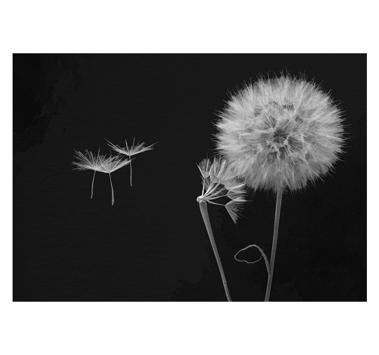 Grey roller blind dandelion head wall mural - TenStickers