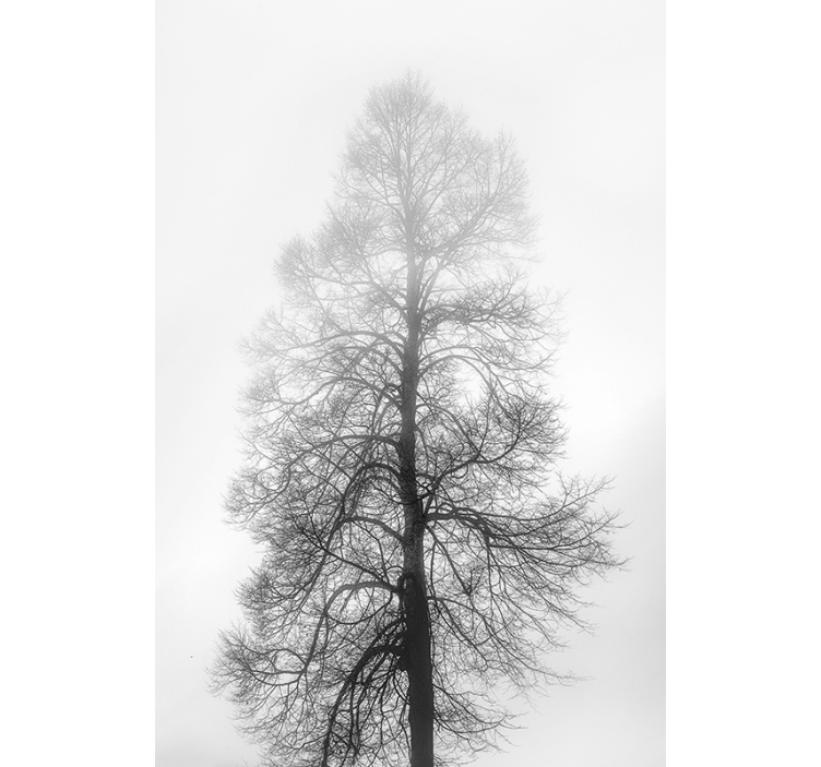 Gray scale tree window blind - TenStickers