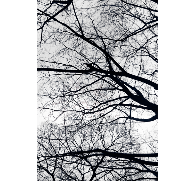 White and gray tree blind - TenStickers