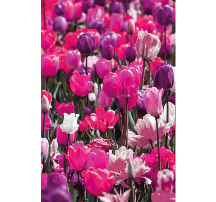 Purple tulip blooms roller blind flowers - TenStickers