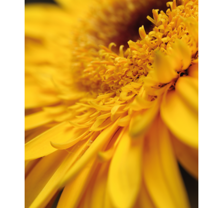 Yellow close-up roller blind flowers - TenStickers