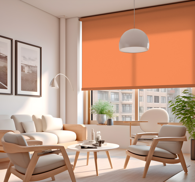 Apricot Crush Living Room Blind - TenStickers