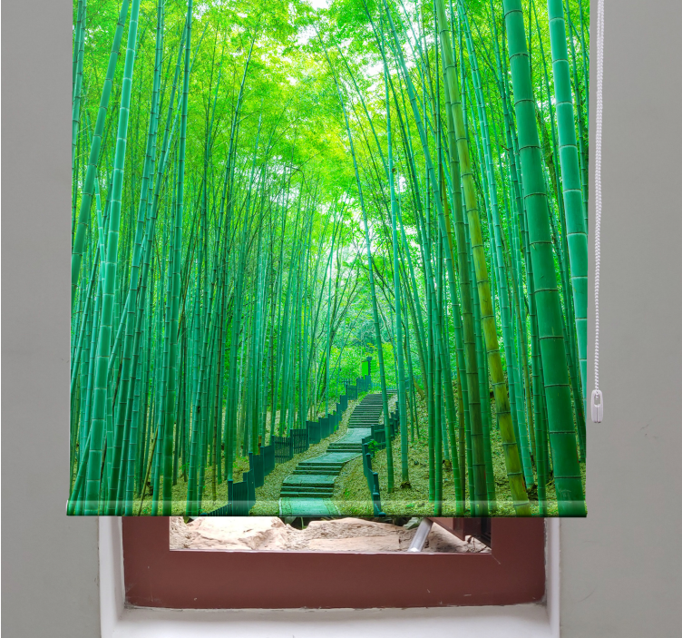 Lush Bamboo Path tree roller blind - TenStickers