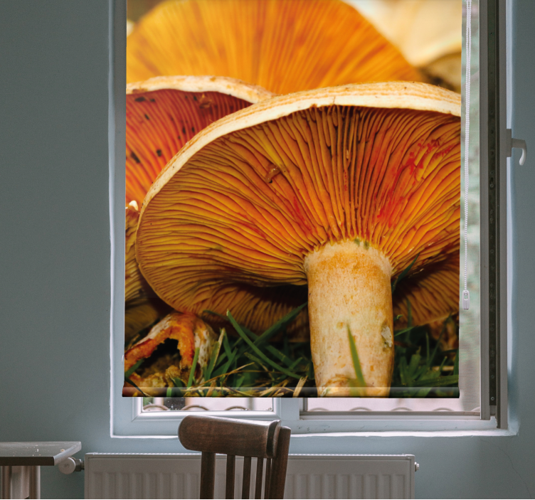 Mushroom Delight roller blind - TenStickers