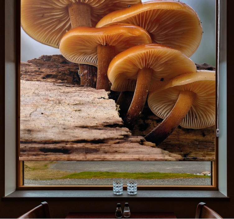 Mushroom Growth roller blind flowers - TenStickers