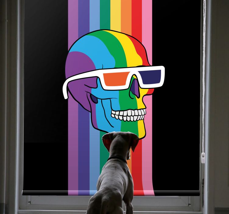Rainbow Skull Shades geek roller blind - TenStickers