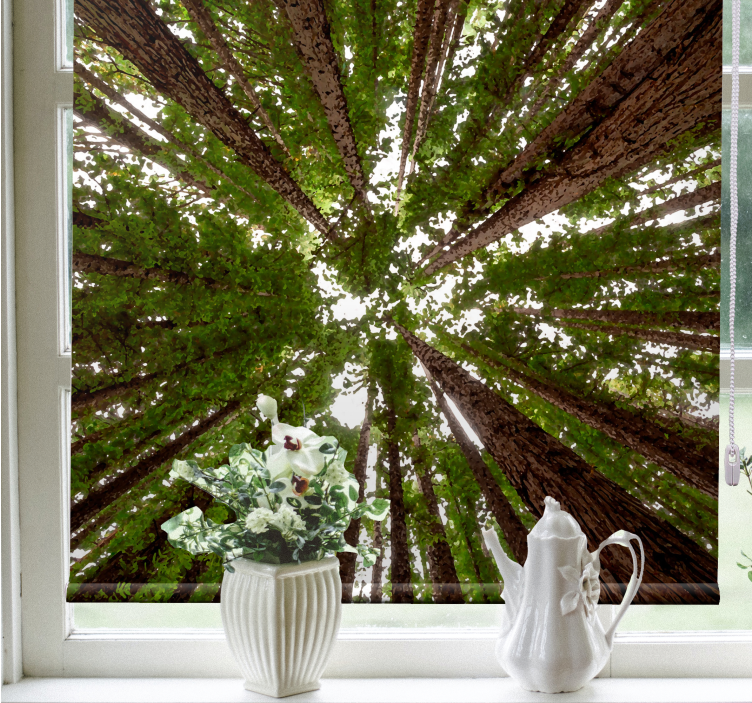 Tall canopy design tree roller blind - TenStickers