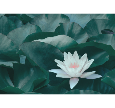 Kitchen roller blind zen white lotus flower - TenStickers