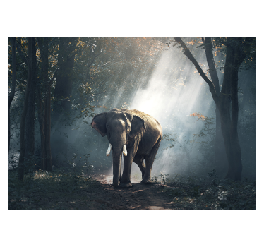 Living room roller blind elephant in the forest - TenStickers