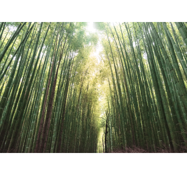 Living room roller blind bamboo forest zen - TenStickers