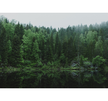 Living room roller blind a forest by the lake - TenStickers