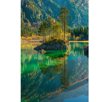 Reflected Tree Nature blind - TenStickers