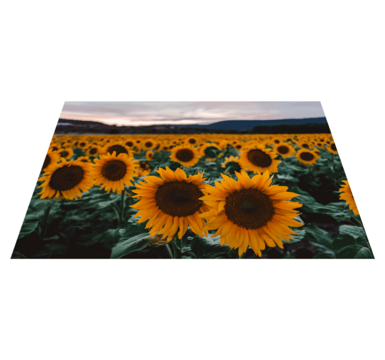 Original placemat sunflower field landscape - TenStickers