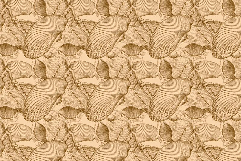 Shell texture surface placemat - TenStickers