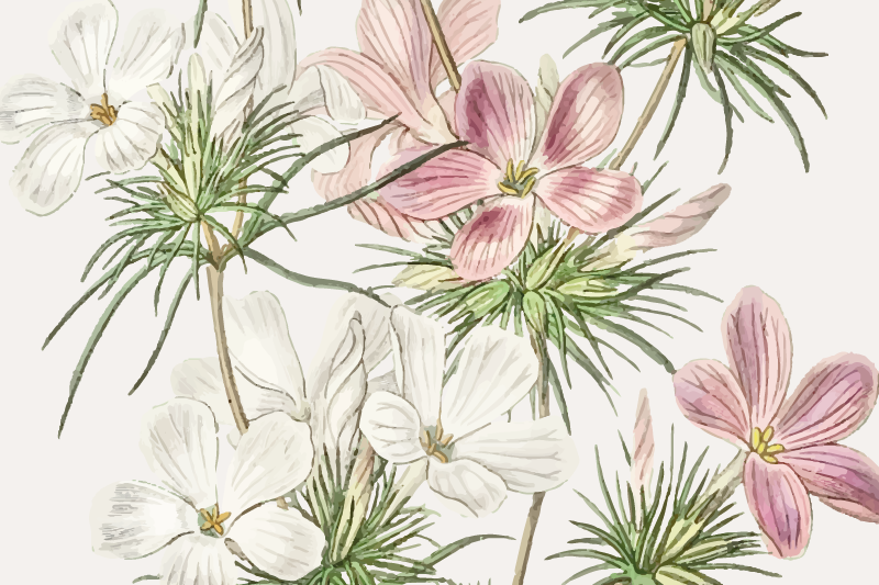 Original placemat floral botanical design - TenStickers