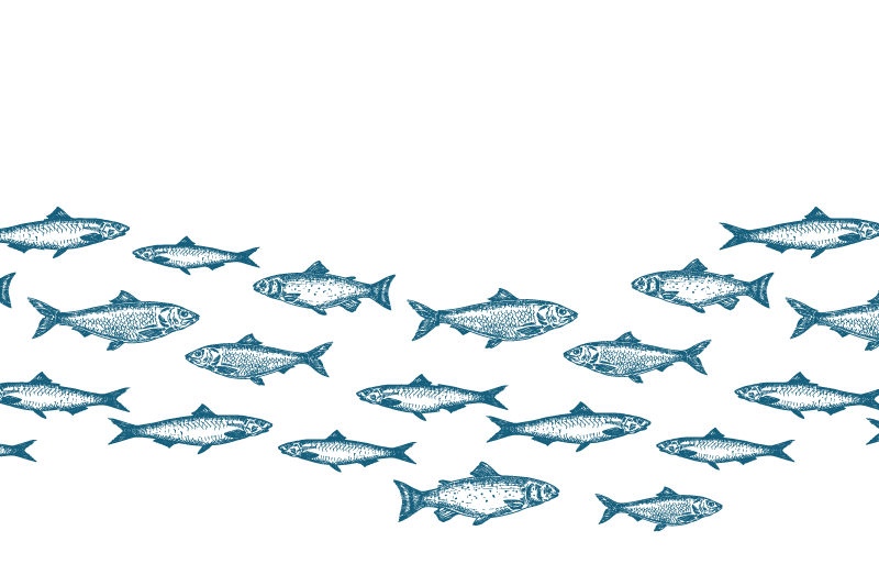 Original placemat swimming fish design - TenStickers