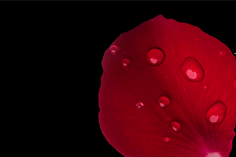 Red petal surface placemat - TenStickers