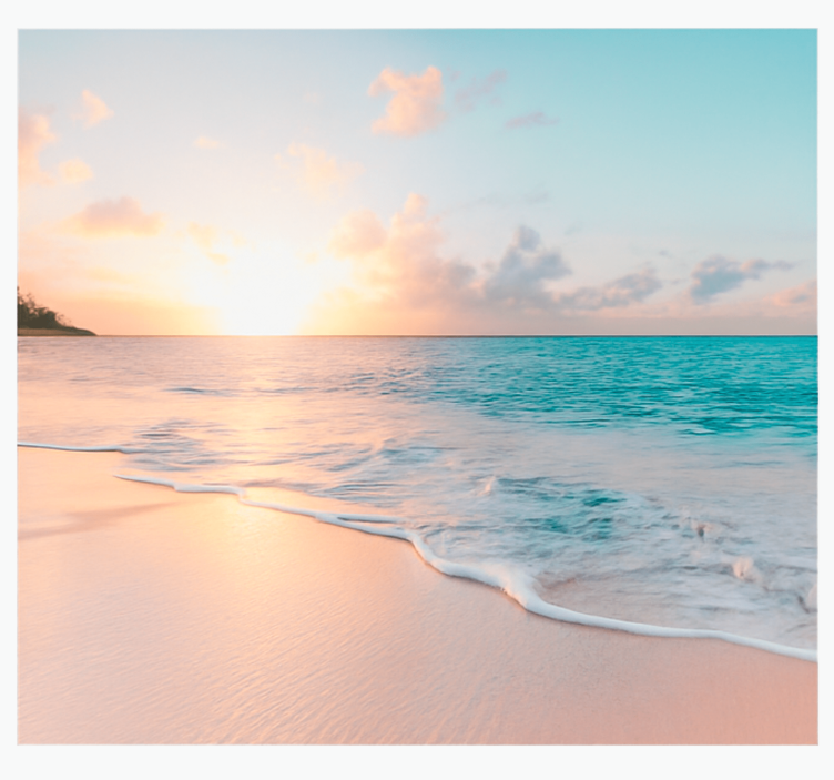 Calmed sunset design sea animals wall mural - TenStickers