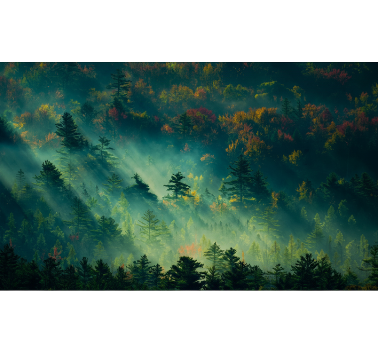 Forest wall mural the gloomy forest - TenStickers