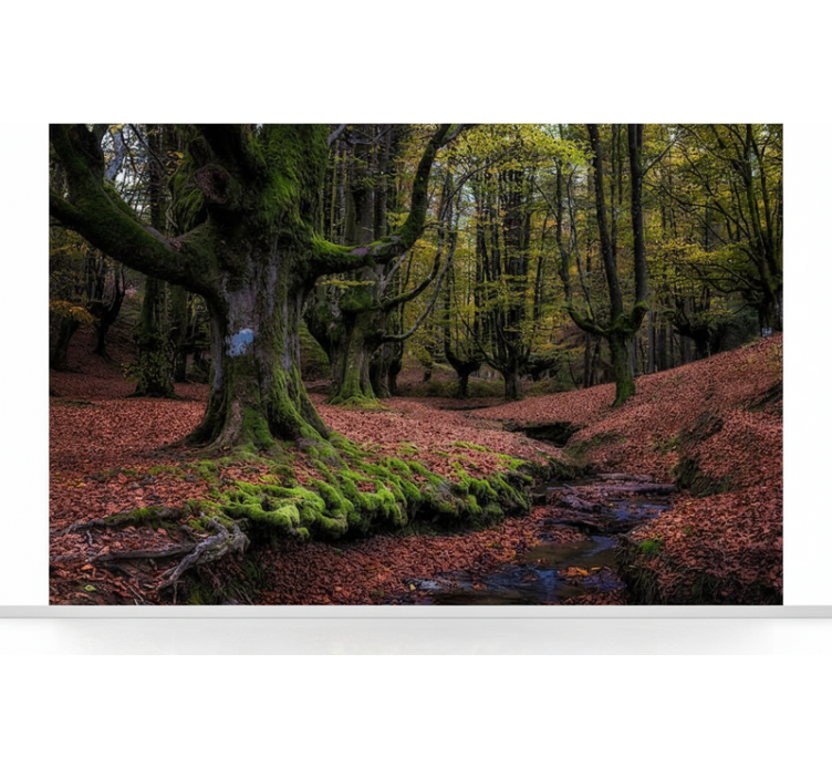 Forest wall mural enchanted autumn forest - TenStickers