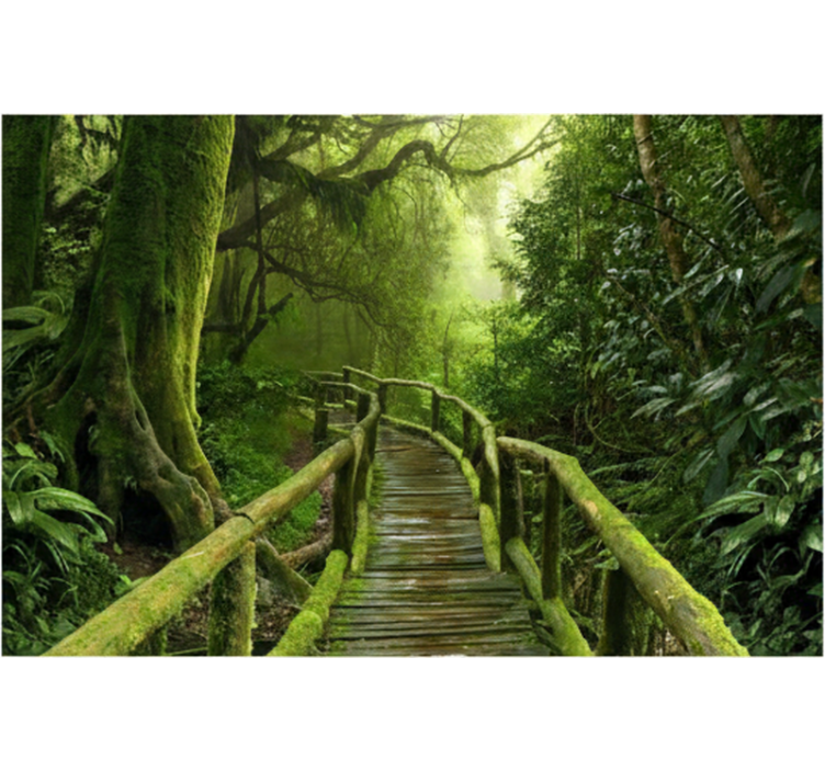 Forest wall mural lush mossy boardwalk - TenStickers