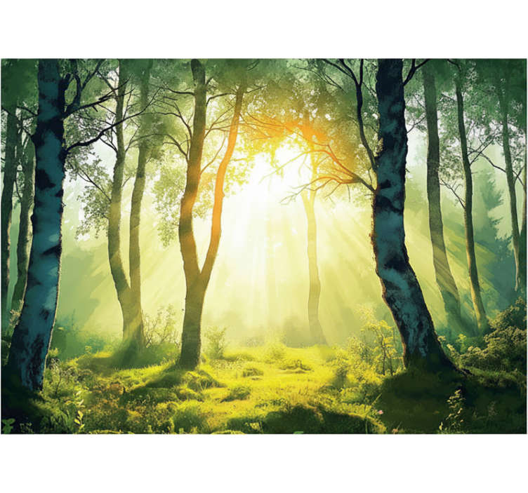 Forest wall mural sun-drenched birch design - TenStickers