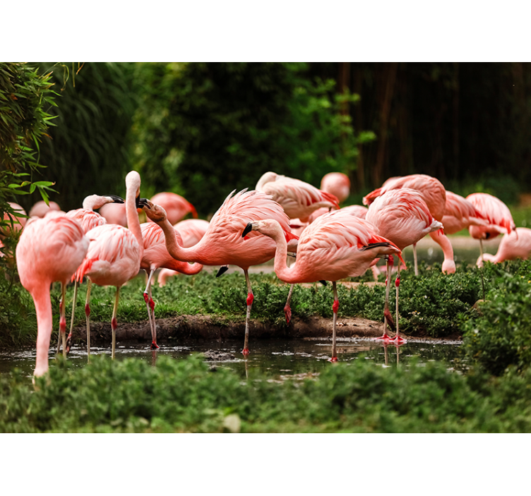 Flamingo group wall mural - TenStickers