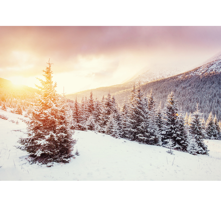 Forest wall mural icy pine scenery - TenStickers