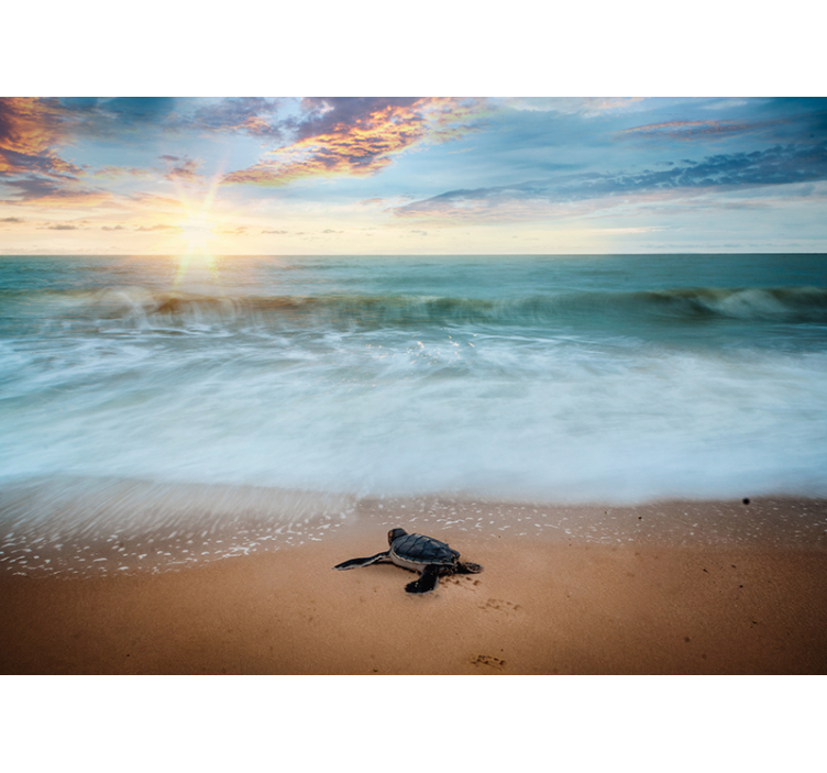 Emerging turtles sea animals wall mural - TenStickers