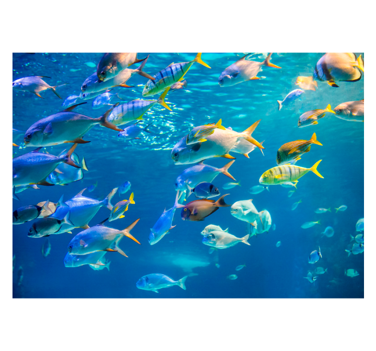 Animal wall mural underwater fish schooling - TenStickers