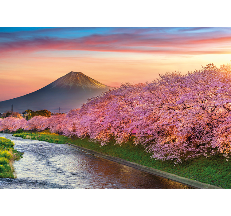 Mt. Fuji Cherry Blossoms landscape wall mural - TenStickers