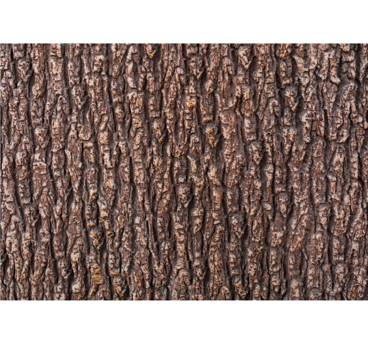 Stone wall mural textured bark surface - TenStickers