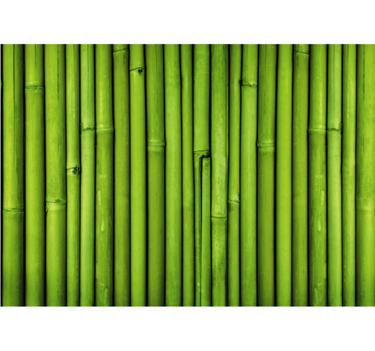 Bamboo wall mural green bamboo stalks - TenStickers
