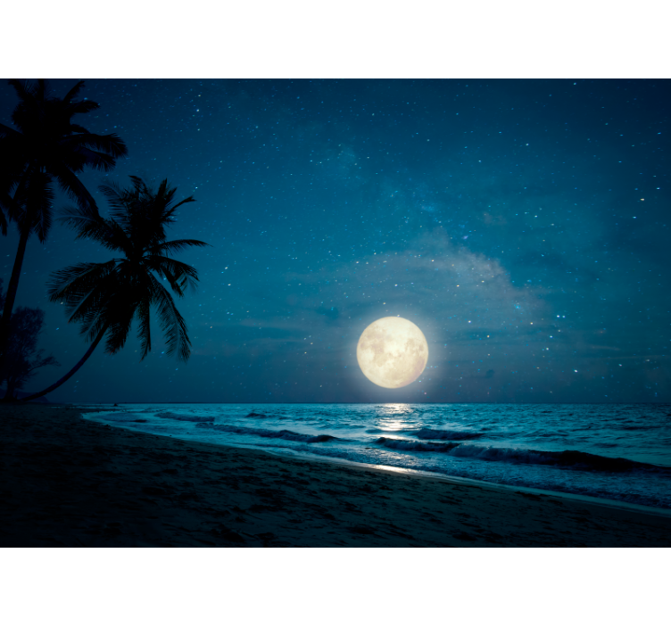 Moonlit Ocean Scene nature wall mural - TenStickers