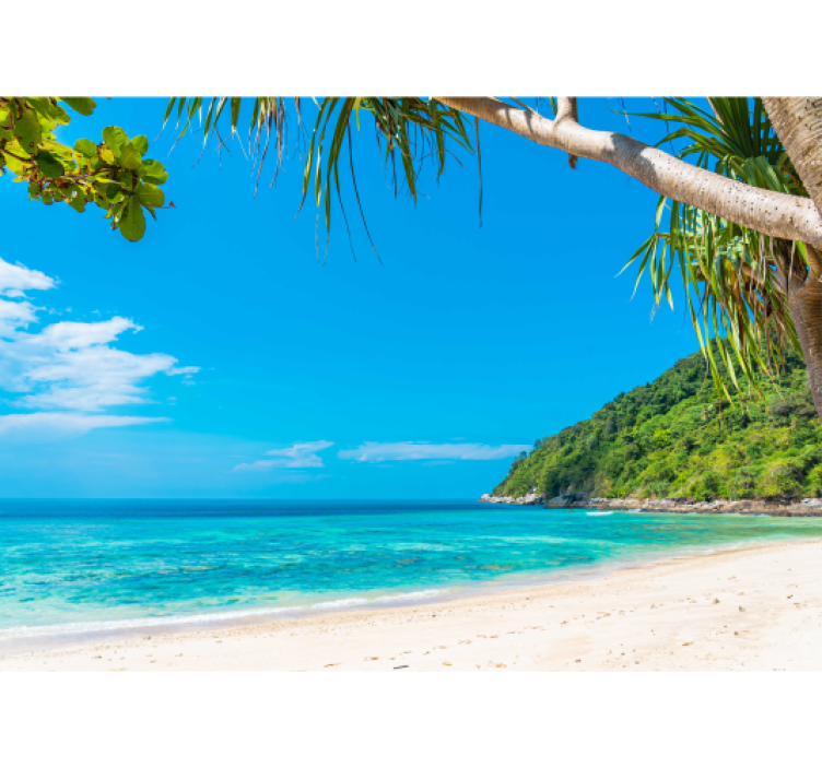 Tropical Coastal Landscape sea animals wall mural - TenStickers