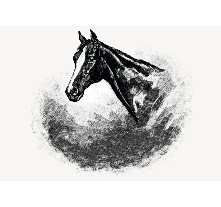 Animal wall mural stallion head - TenStickers