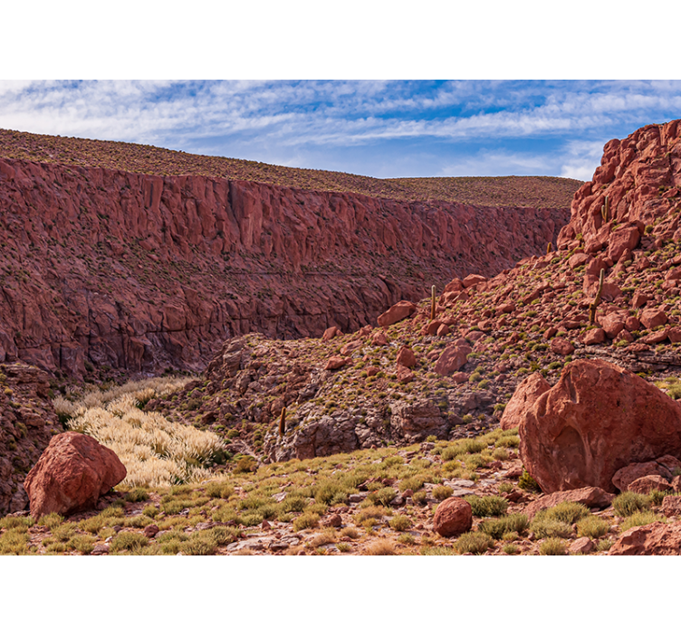 Red Desert Landscape mountain wall mural - TenStickers