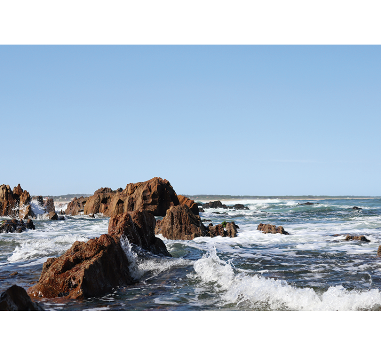 Rocky Shoreline View sea animals wall mural - TenStickers