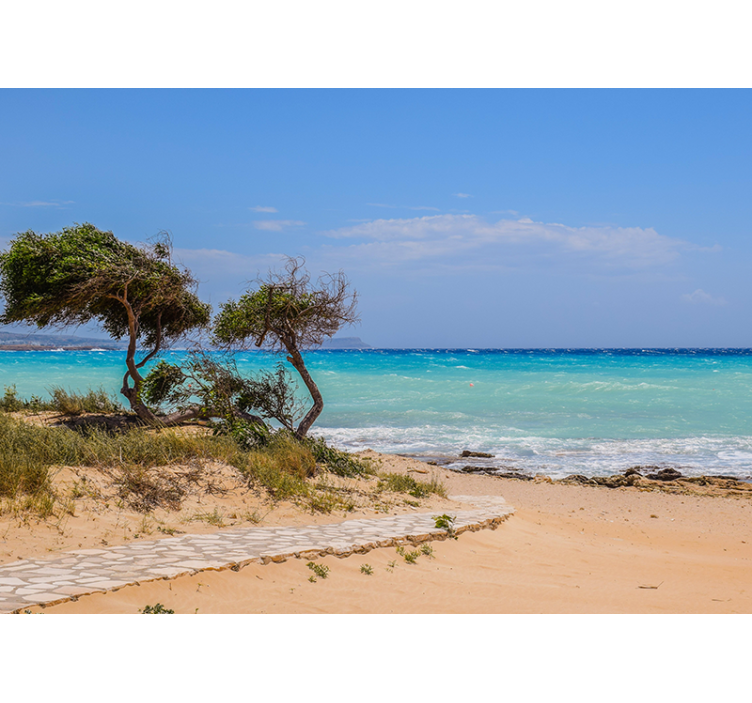 Serene scene path sea animals wall mural - TenStickers