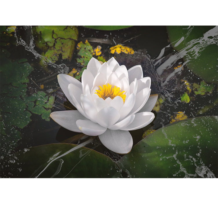 Flower wall mural lotus flower serenity - TenStickers