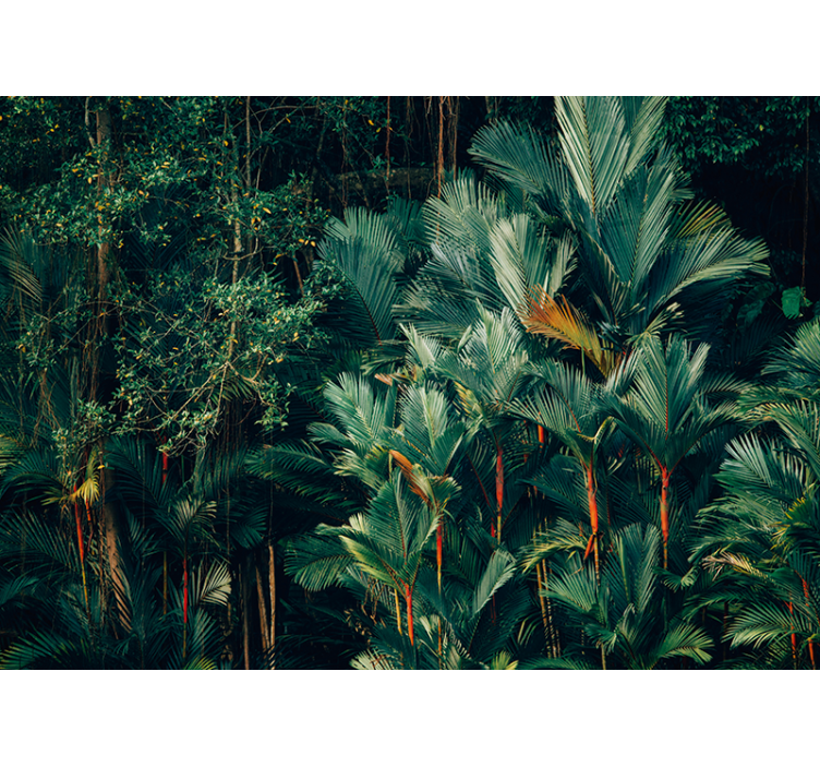 Nature wall mural exotic palm foliage design - TenStickers