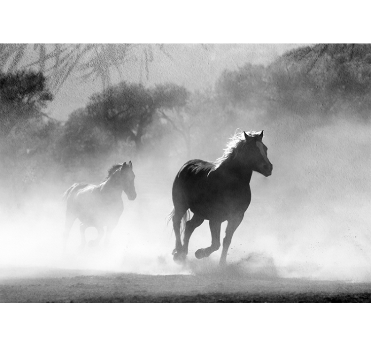 White and Black horse  wall mural - TenStickers