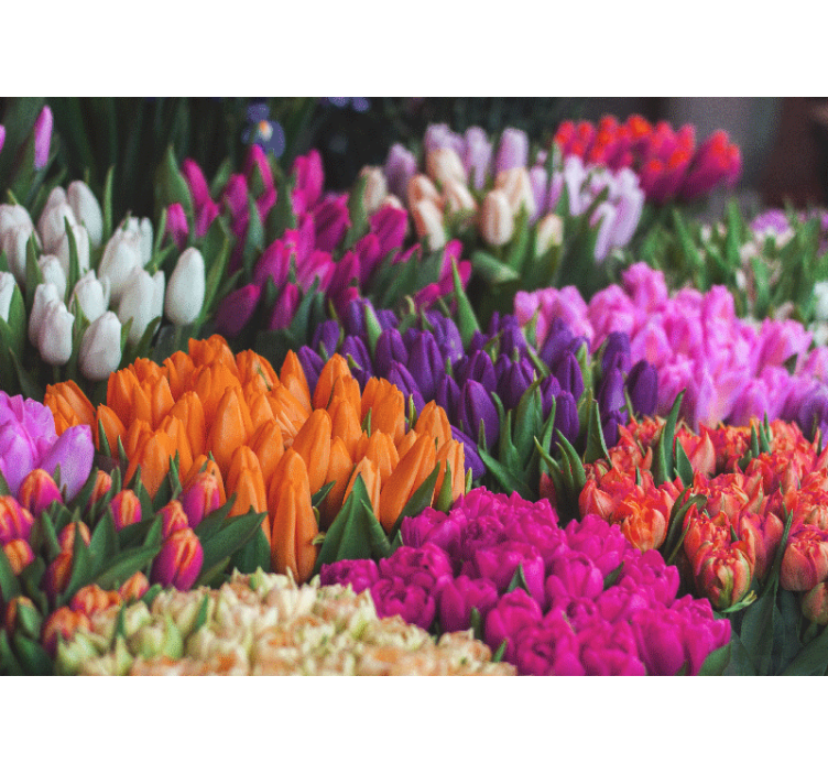 Flower wall mural tulip garden arrangement - TenStickers